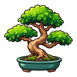 Mini Bonsai