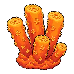 Pillar Coral