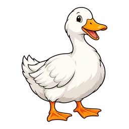 White Duck