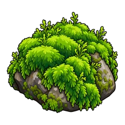 Moss