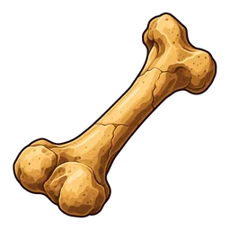 Dinosaur Bone