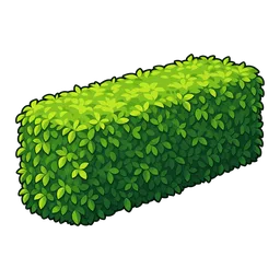 Hedge