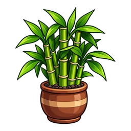 Bamboo