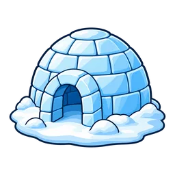 Snow Field