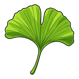 Ginkgo