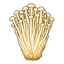 Enoki