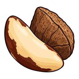 Brazil Nut