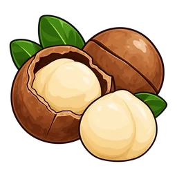 Macadamia