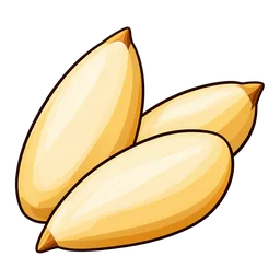 Pine Nut