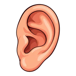 Ear