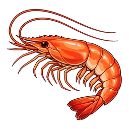 Prawn