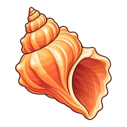 Spiral Shell