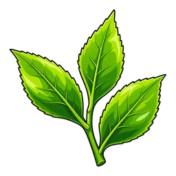 Tea Leaves