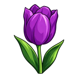 Purple Tulip